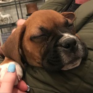 Meet your Posher, Ava